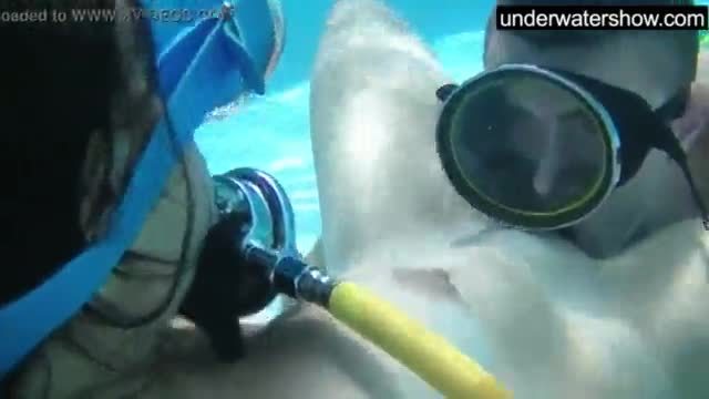 Candy being licked underwater